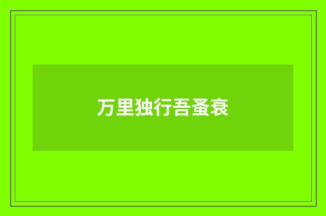 万里独行吾蚤衰