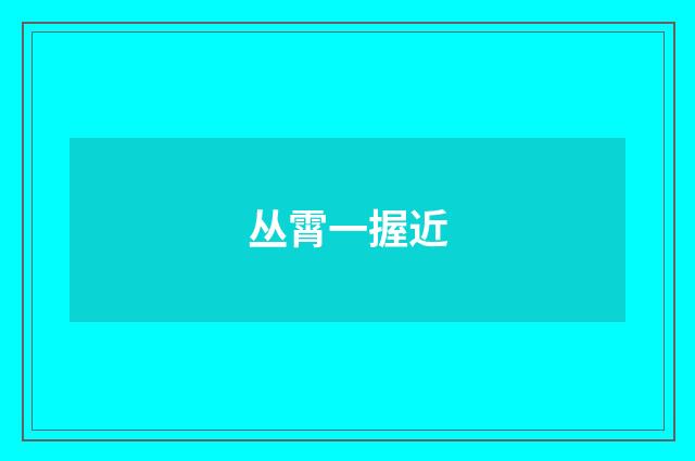 丛霄一握近