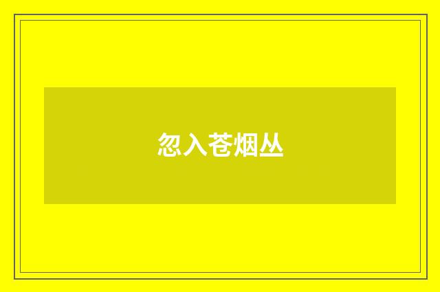 忽入苍烟丛