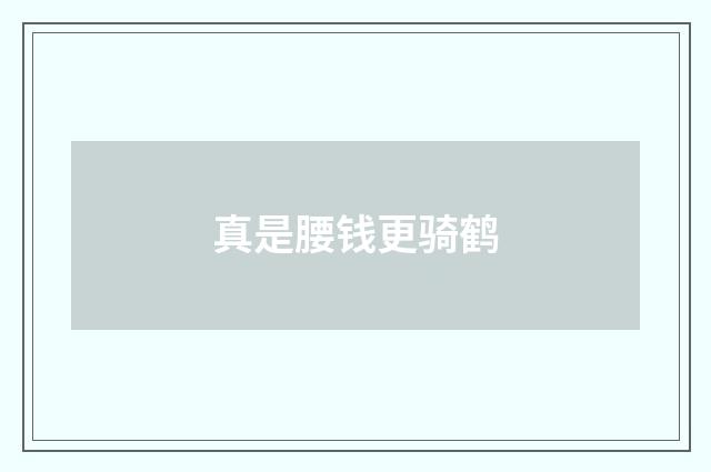 真是腰钱更骑鹤