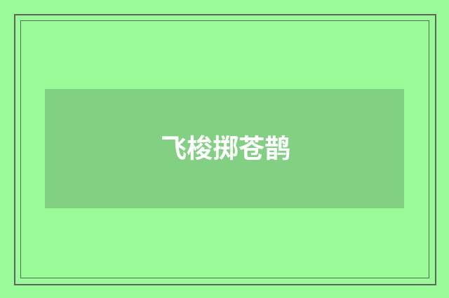 飞梭掷苍鹊
