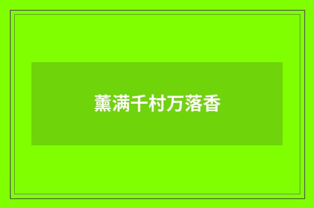 薰满千村万落香