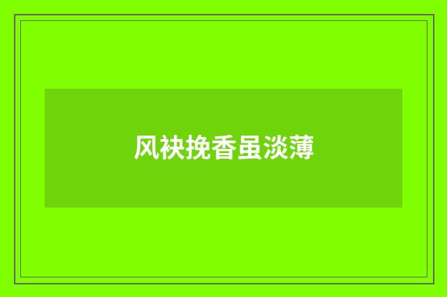 风袂挽香虽淡薄