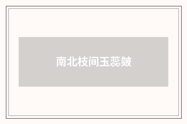 南北枝间玉蕊皴