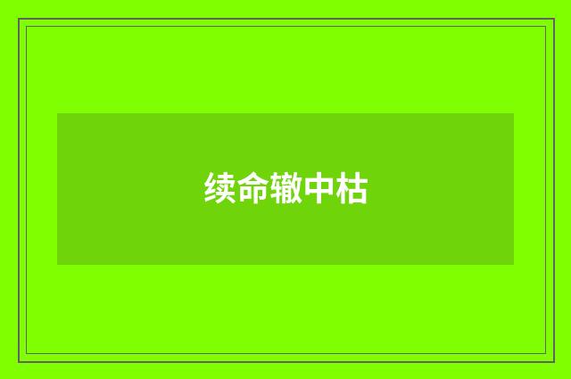 续命辙中枯