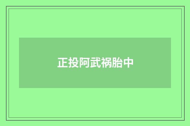 正投阿武祸胎中