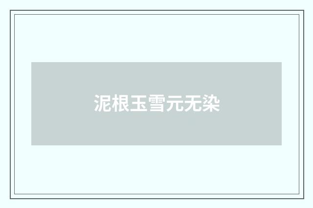 泥根玉雪元无染