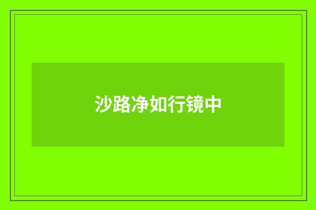 沙路净如行镜中