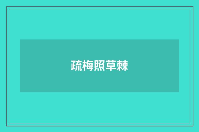 疏梅照草棘