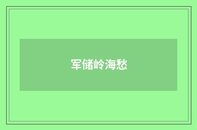 军储岭海愁