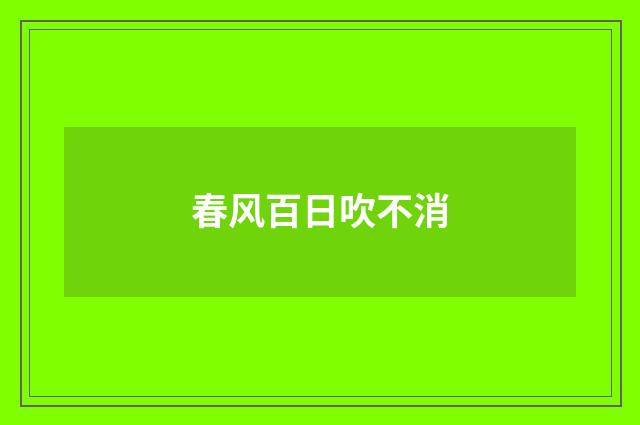 春风百日吹不消