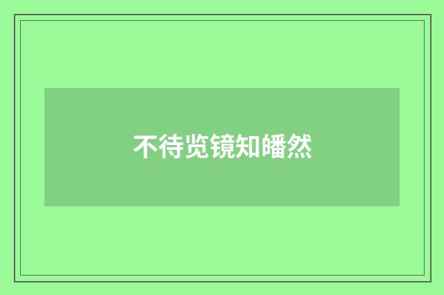 不待览镜知皤然