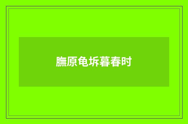 膴原龟坼暮春时
