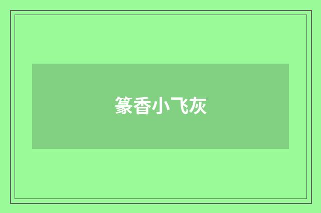 篆香小飞灰