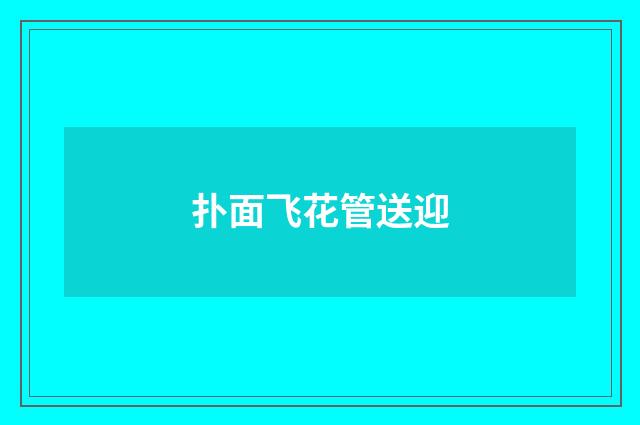扑面飞花管送迎