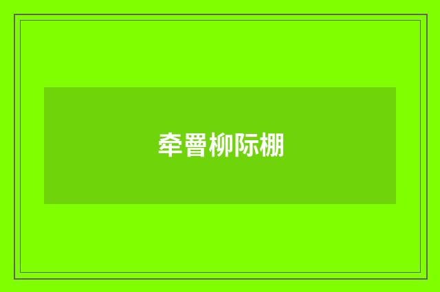 牵罾柳际棚