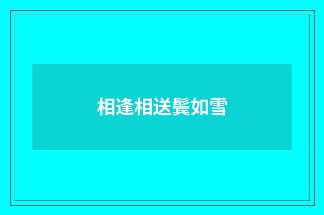 相逢相送鬓如雪