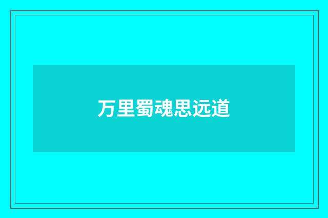 万里蜀魂思远道