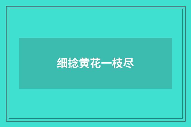 细捻黄花一枝尽
