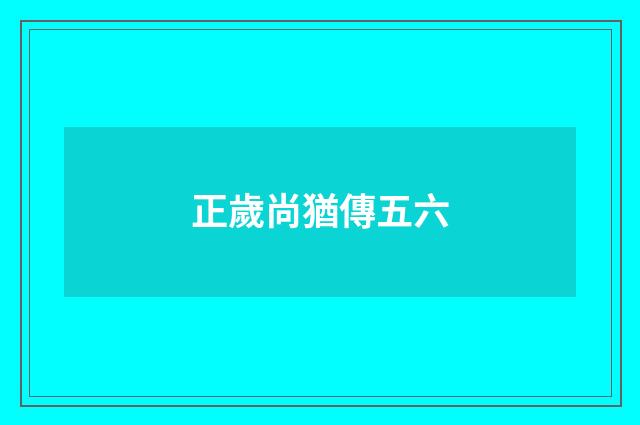正歲尚猶傳五六