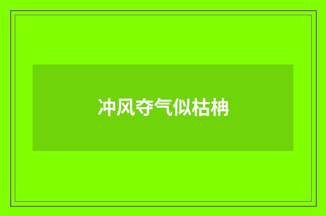 冲风夺气似枯柟