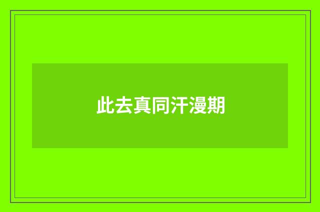 此去真同汗漫期