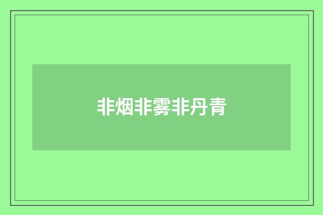 非烟非雾非丹青