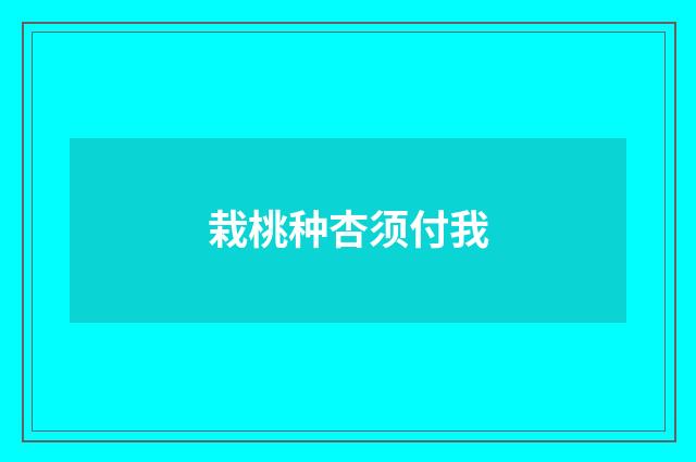 栽桃种杏须付我
