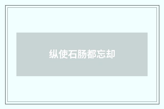 纵使石肠都忘却