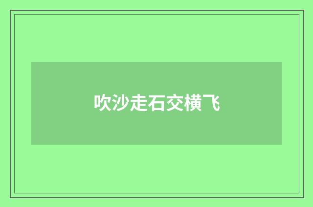 吹沙走石交横飞