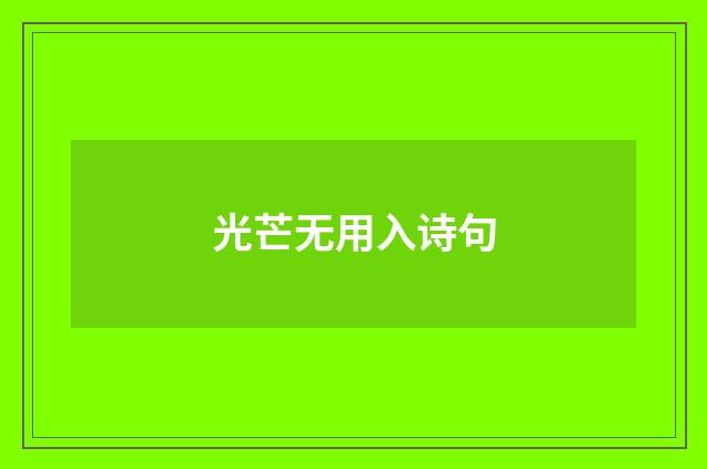 光芒无用入诗句