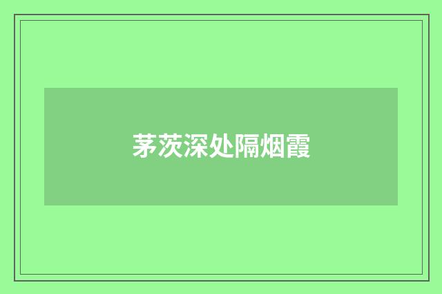 茅茨深处隔烟霞