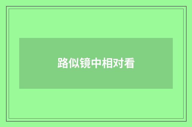 路似镜中相对看