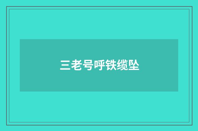 三老号呼铁缆坠