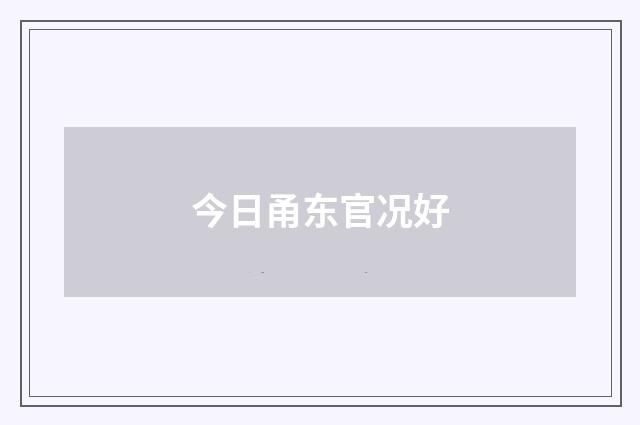今日甬东官况好