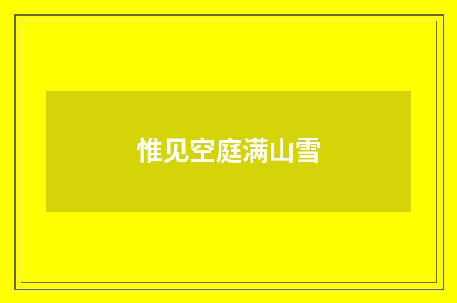 惟见空庭满山雪