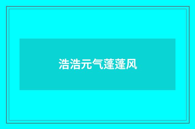 浩浩元气蓬蓬风
