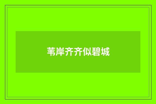 苇岸齐齐似碧城