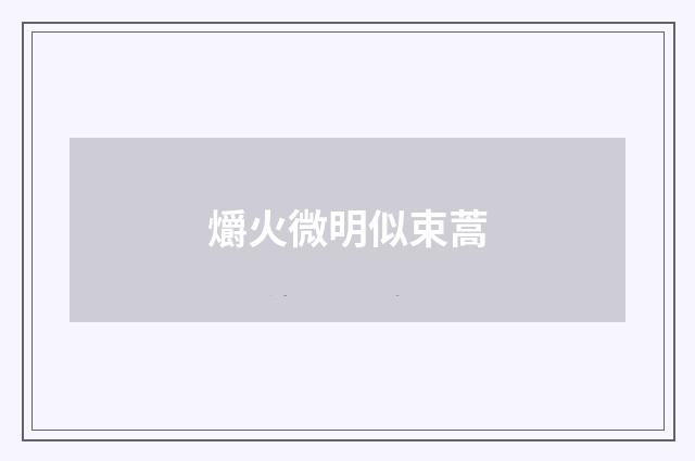 爝火微明似束蒿