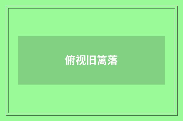 俯视旧篱落
