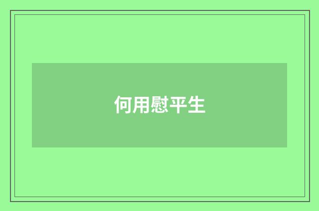何用慰平生
