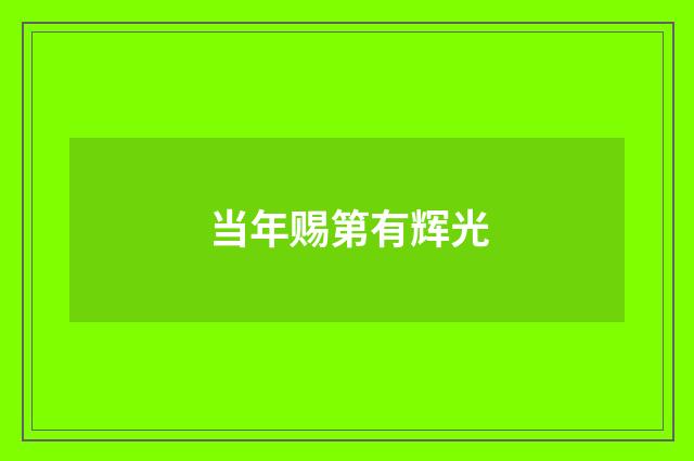 当年赐第有辉光
