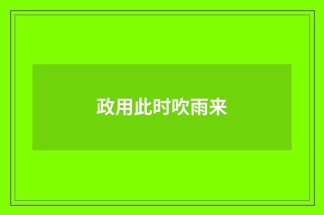 政用此时吹雨来