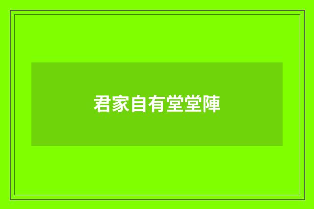 君家自有堂堂陣