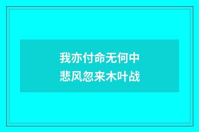 我亦付命无何中悲风忽来木叶战