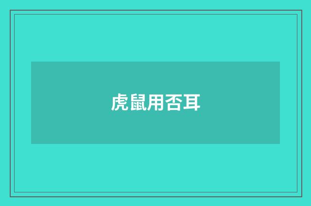 虎鼠用否耳