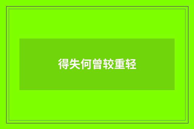 得失何曾较重轻