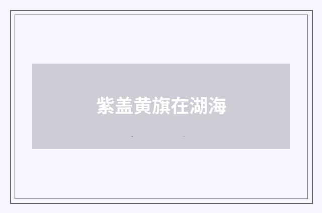 紫盖黄旗在湖海