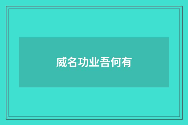 威名功业吾何有