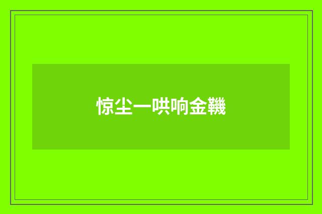 惊尘一哄响金鞿